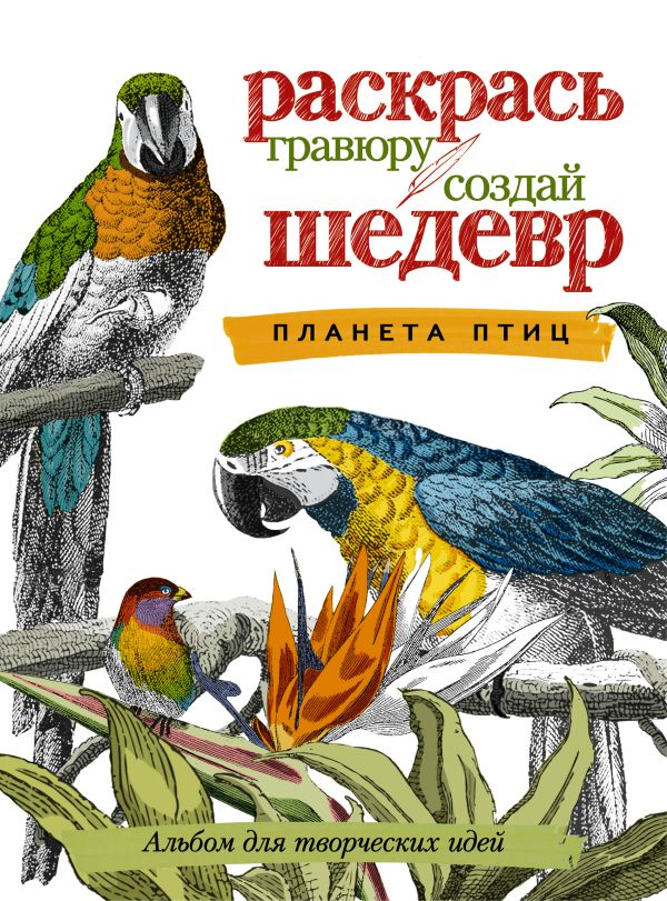 Планета птиц Планета птиц
