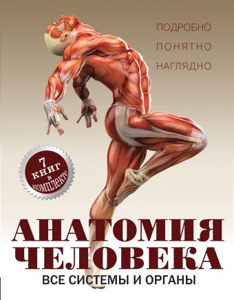 Анатомия человека. Все системы и органы Анатомия человека. Все системы и органы Вороникова Е.С.