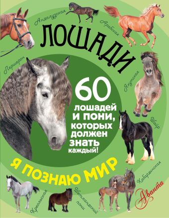Лошади Лошади .