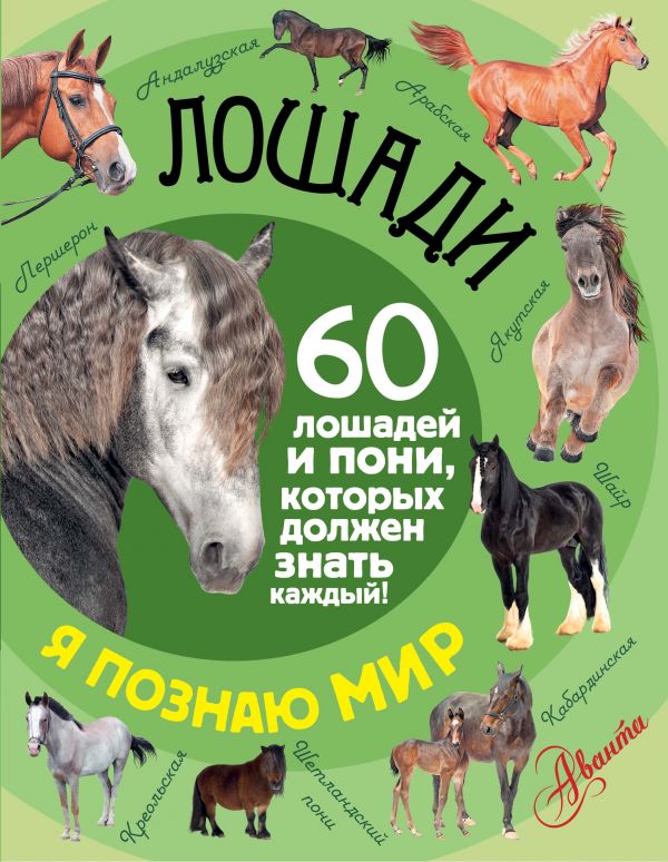 Лошади Лошади .