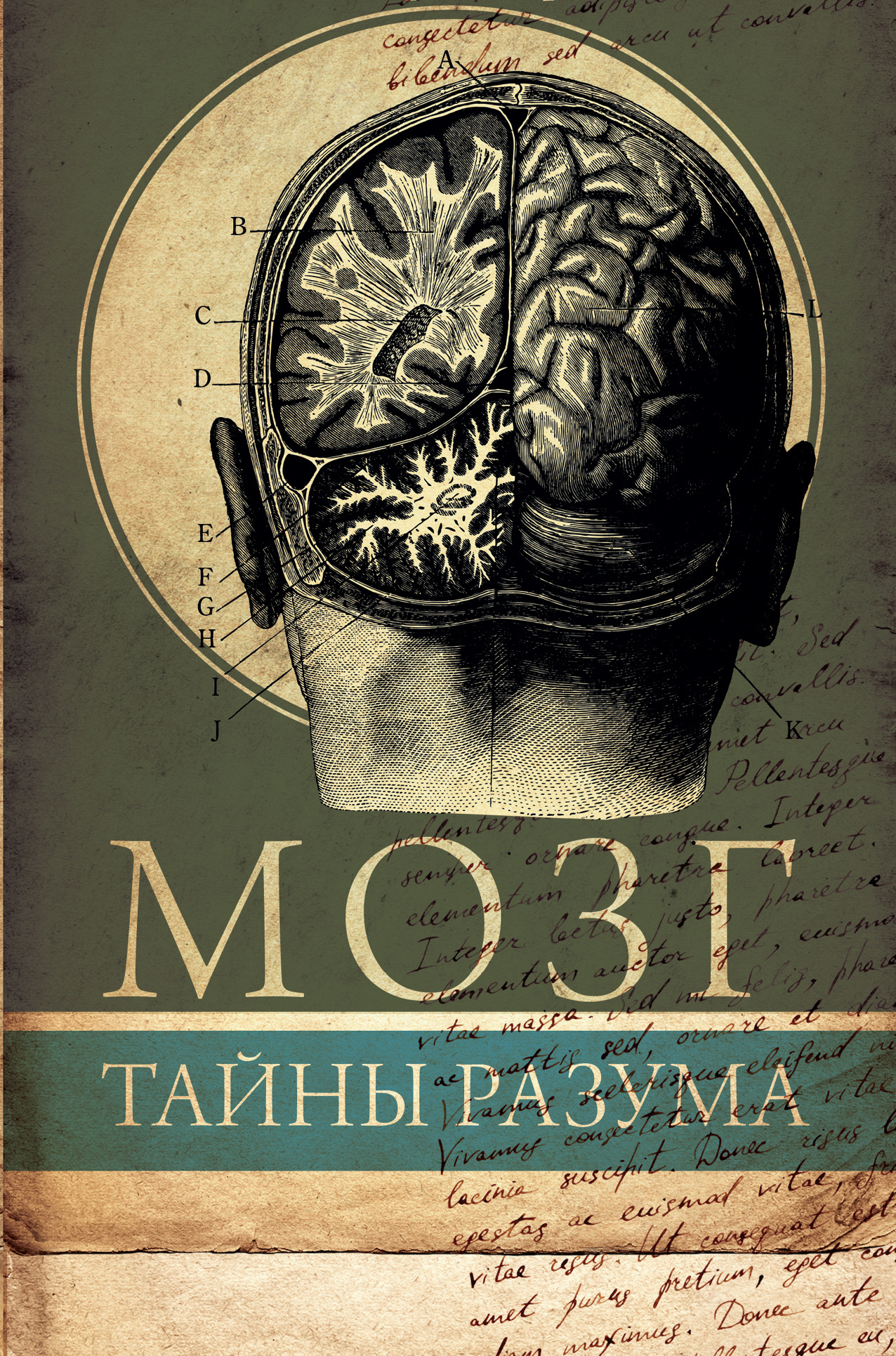 Мозг. Тайны разума от book24.ru Мозг. Тайны разума от book24.ru