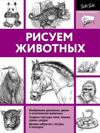 Рисуем животных Рисуем животных Степанова А.Н.