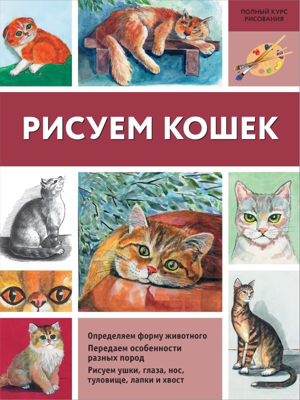 Рисуем кошек Рисуем кошек Щербакова Н.А.