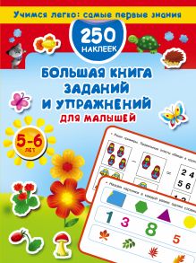Большая книга заданий и упражнений для малышей 5-6 лет. ДМ