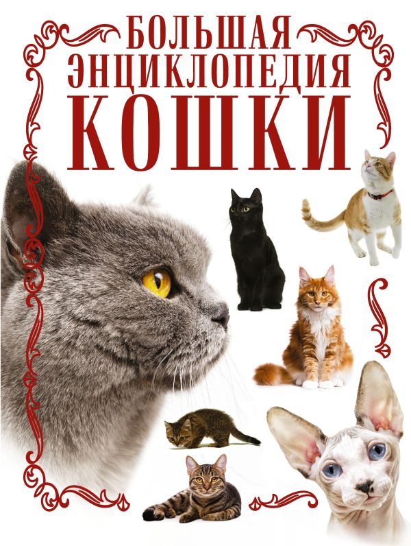 Кошки. Большая энциклопедия Кошки. Большая энциклопедия Смирнов Д.С.