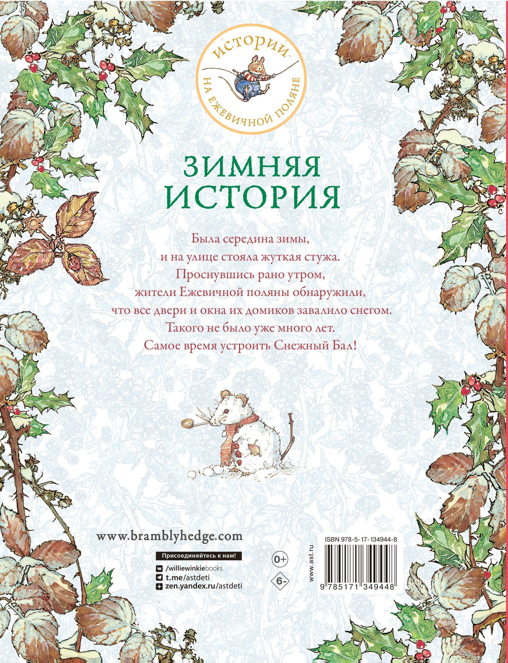 Зимняя история