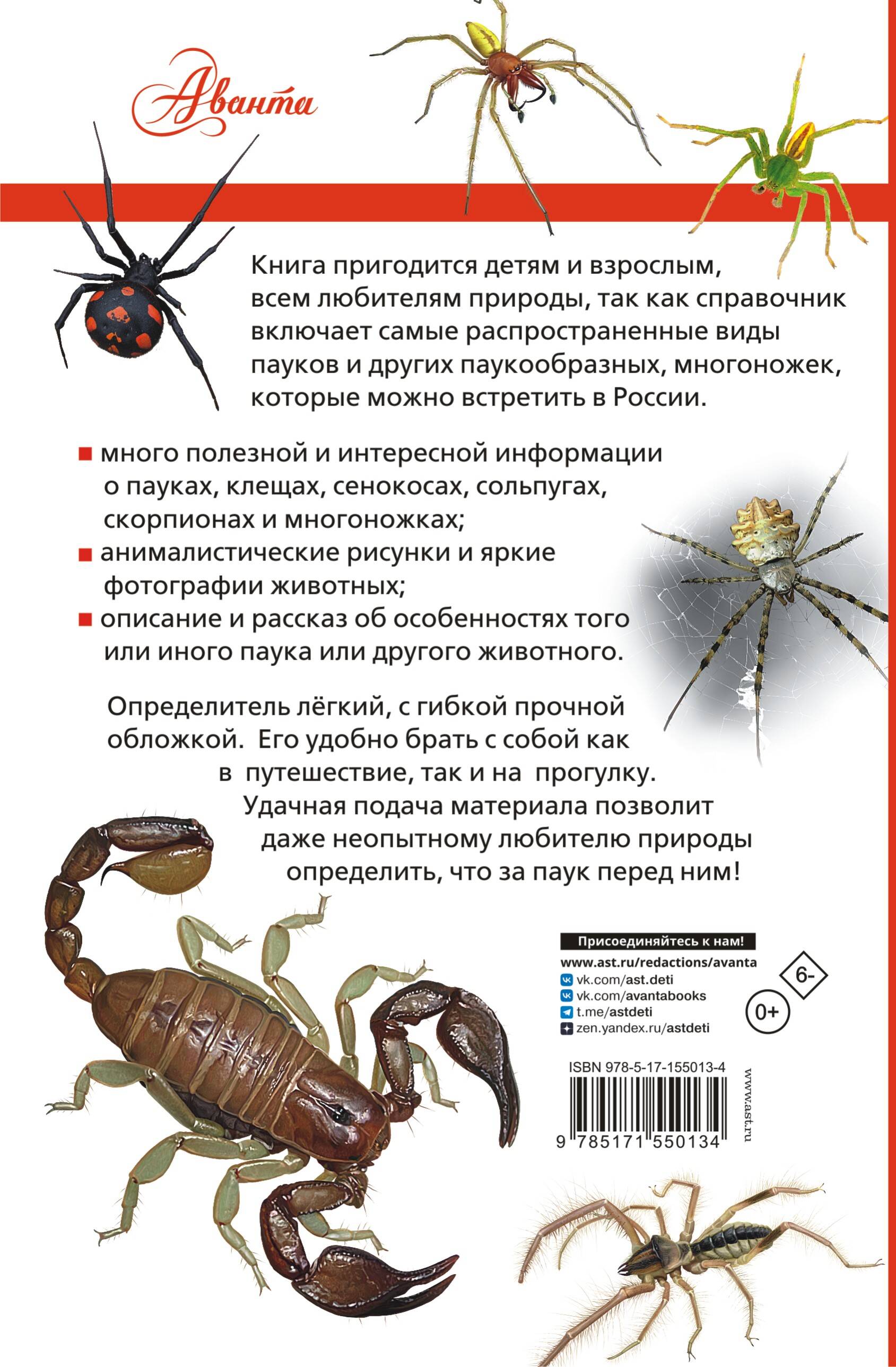 Пауки, скорпионы и многоножки России