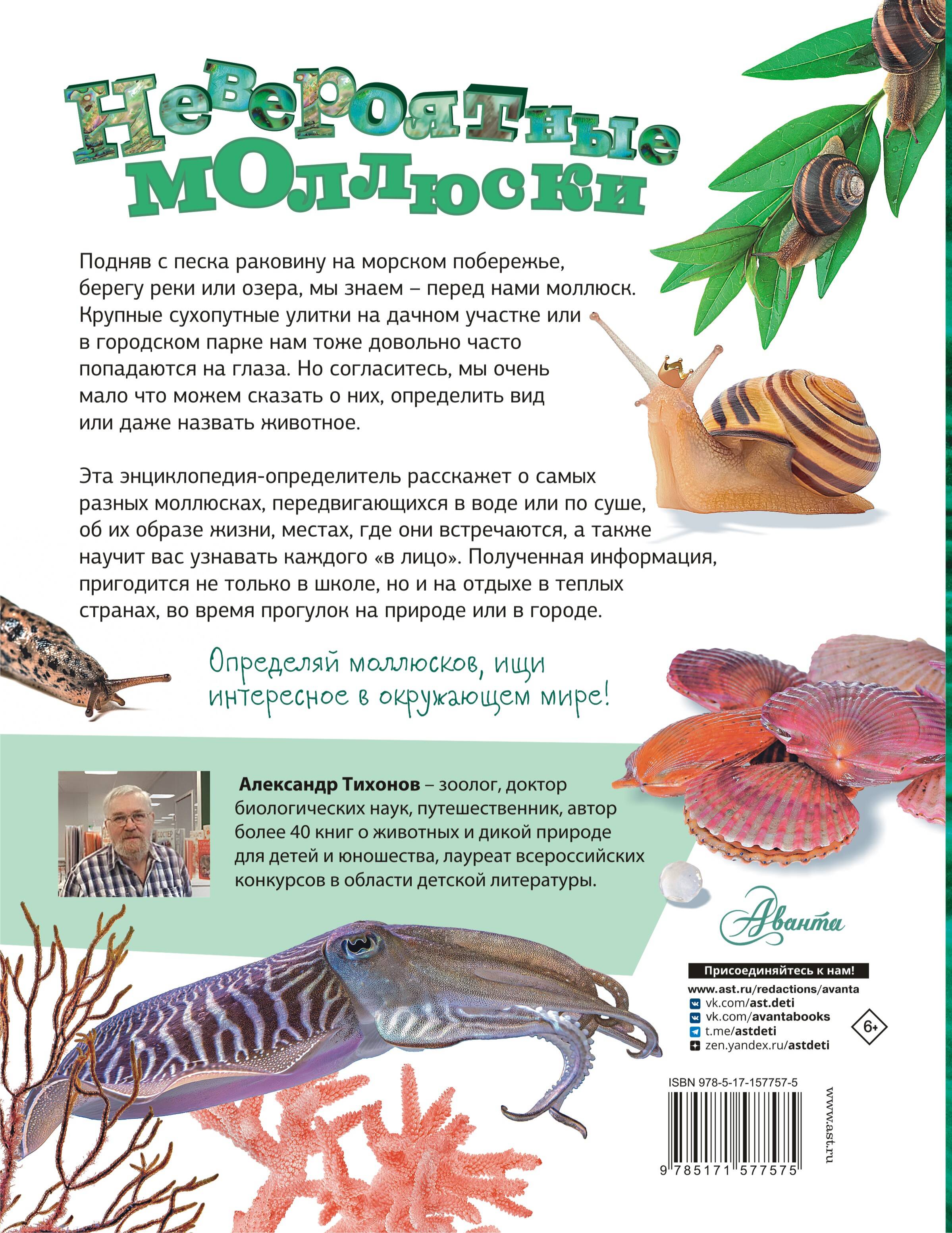 Невероятные моллюски