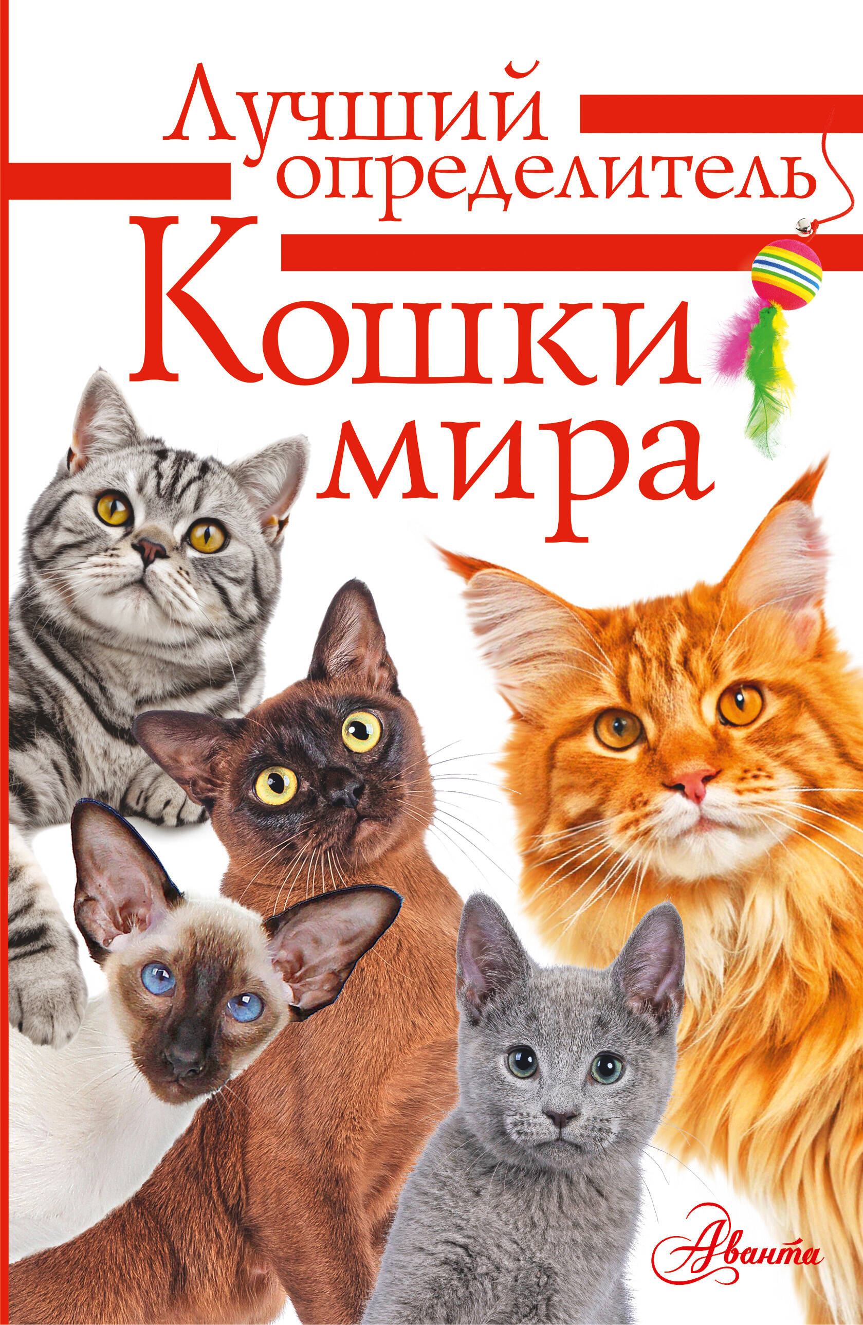 Кошки мира. Определитель