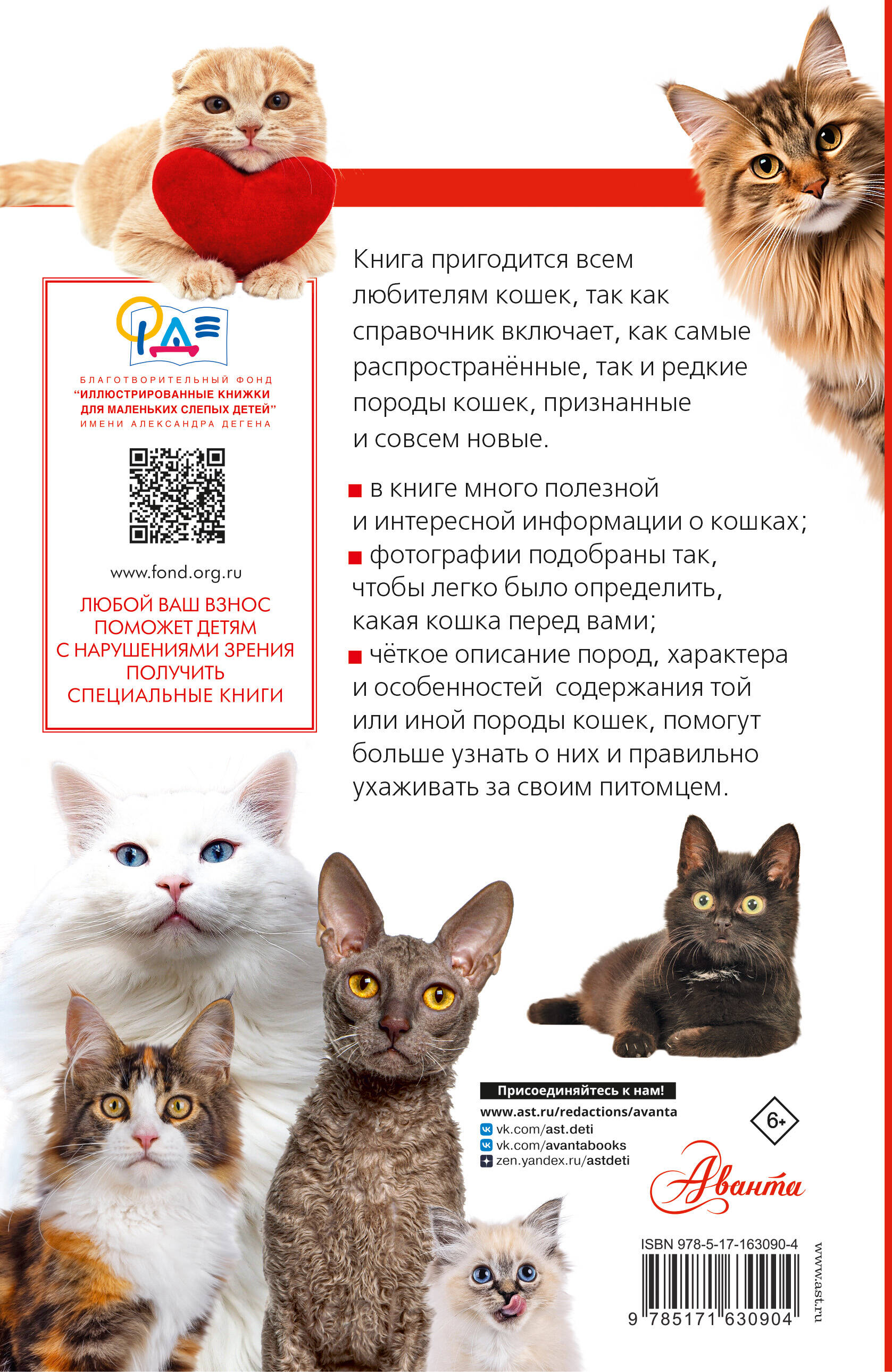 Кошки мира. Определитель