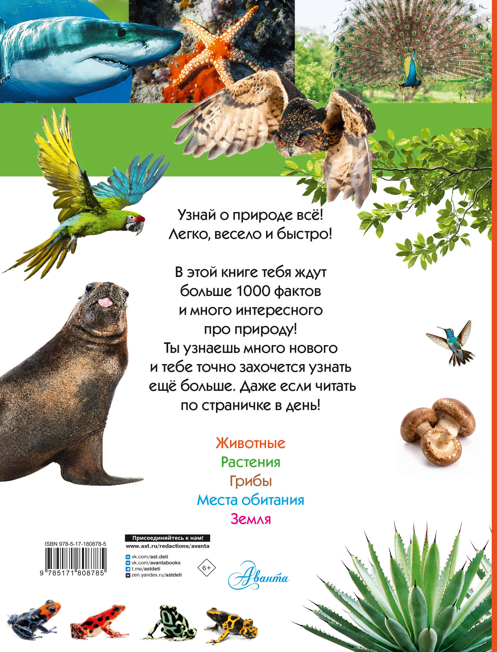 100 тысяч почему на каждый день. Природа