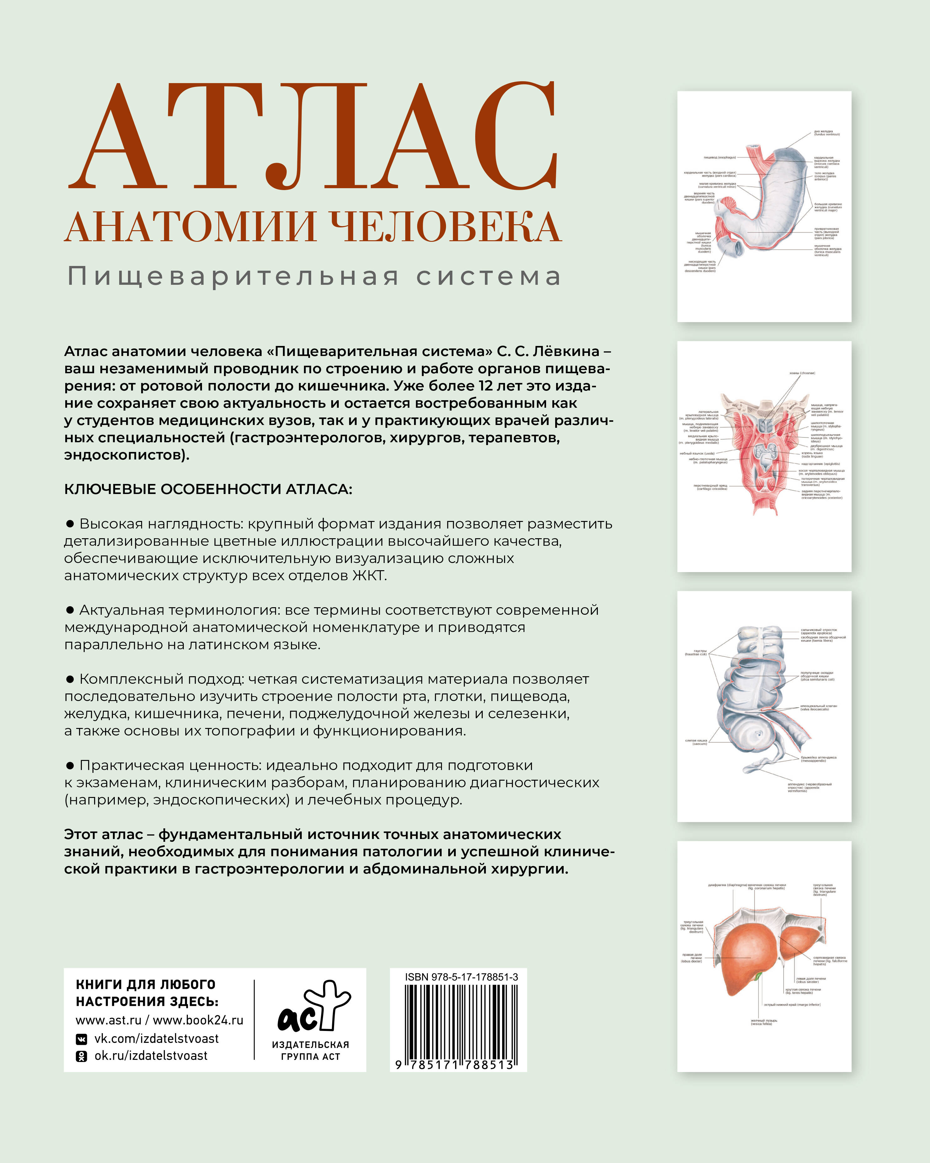 Атлас анатомии человека. Пищеварительная система