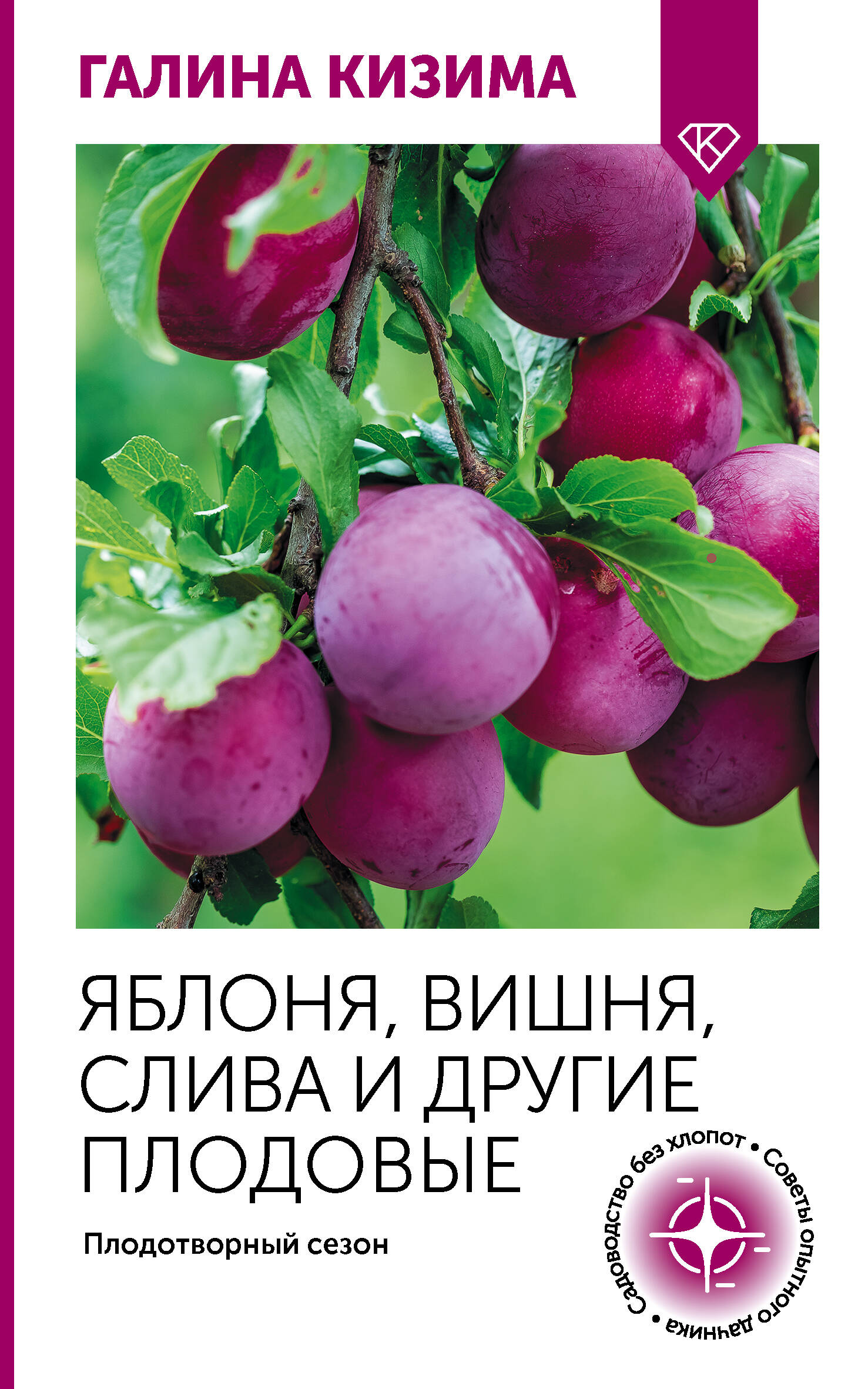 Яблоня, вишня, слива и другие плодовые. Плодотворный сезон
