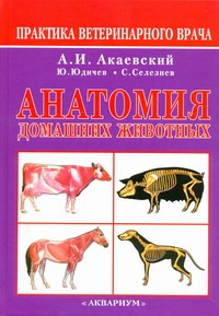 Анатомия домашних животных Анатомия домашних животных Акаевский А.И.