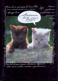 Анкета для моих друзей(коты, черная) Анкета для моих друзей(коты, черная) Попова Н.