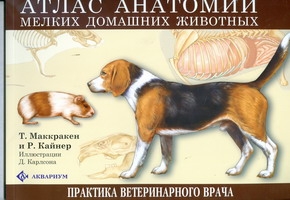Атлас анатомии мелких домашних животных (305х230) Атлас анатомии мелких домашних животных (305х230) Маккракен Т.