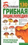 Большая грибная энциклопедия Большая грибная энциклопедия Морозов А.И.
