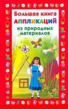 Большая книга аппликаций из природных материалов Большая книга аппликаций из природных материалов