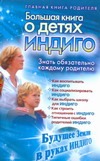 Большая книга о детях индиго Большая книга о детях индиго Березина Алина