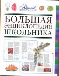 Большая энциклопедия школьника Большая энциклопедия школьника Алексеев С.