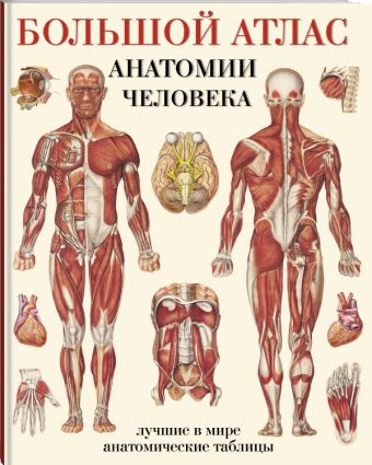 Большой атлас анатомии человека Большой атлас анатомии человека Махиянова Е.Б.