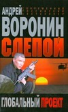 Воронин Слепой Глобальный проект Воронин Слепой Глобальный проект Воронин А.Н.
