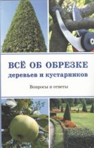 Все об обрезке деревьев и кустарников Все об обрезке деревьев и кустарников