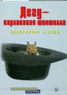 Дегу-карликовая шиншилла. Содержание и уход Дегу-карликовая шиншилла. Содержание и уход