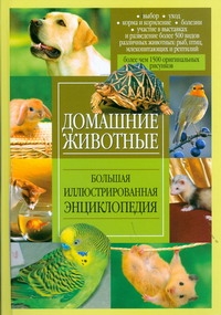 Домашние животные Домашние животные Чибисова О.И.