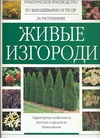 Живые изгороди Живые изгороди