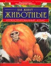 Как живут животные Как живут животные Стоунхауз Б.