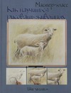 Как научиться рисовать животных. Шаг за шагом Как научиться рисовать животных. Шаг за шагом