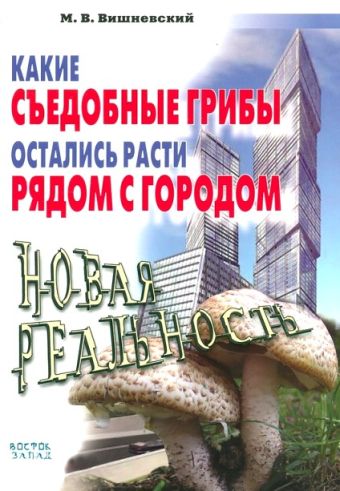 Какие съедобные грибы остались расти рядом с городом Какие съедобные грибы остались расти рядом с городом Вишневский М.В.
