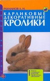 Карликовые декоративные кролики Карликовые декоративные кролики Рахманов А.И.