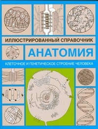 Клеточное и генетическое строение человека Клеточное и генетическое строение человека Лазукина Н.В.