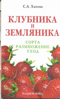 Клубника и земляника Клубника и земляника Хапова С.А.