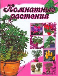 Комнатные растения Комнатные растения Бурлуцкая Л.А.