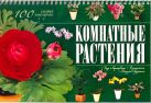 Комнатные растения. 100 самых популярных Комнатные растения. 100 самых популярных