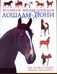 Лошади & пони Лошади & пони Пикрел Т.