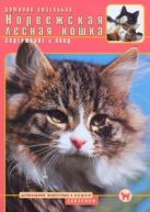 Норвежская лесная кошка : содержание и уход Норвежская лесная кошка : содержание и уход