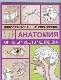Органы чувств человека Органы чувств человека Борисова И.