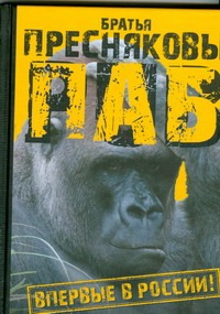 Паб Паб Пресняков В.М.