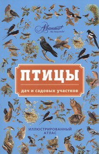 Птицы дач и садовых участков Птицы дач и садовых участков Бабенко В.Г.