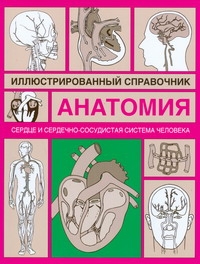 Сердце и сердечно-сосудистая система Сердце и сердечно-сосудистая система Борисова И.