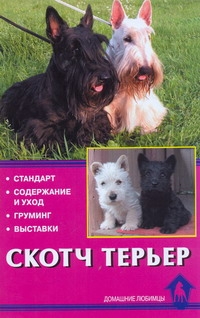 Скотч терьер Скотч терьер Кутовая О.В.