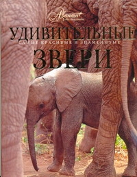 Удивительные звери Удивительные звери Михайлов К.