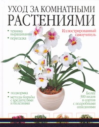 Уход за комнатными растениями Уход за комнатными растениями