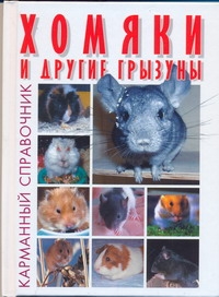 Хомяки и другие грызуны Хомяки и другие грызуны