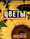 Цветы Цветы Тугуд А.