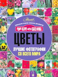 Цветы. Лучшие фотографии со всего мира Цветы. Лучшие фотографии со всего мира